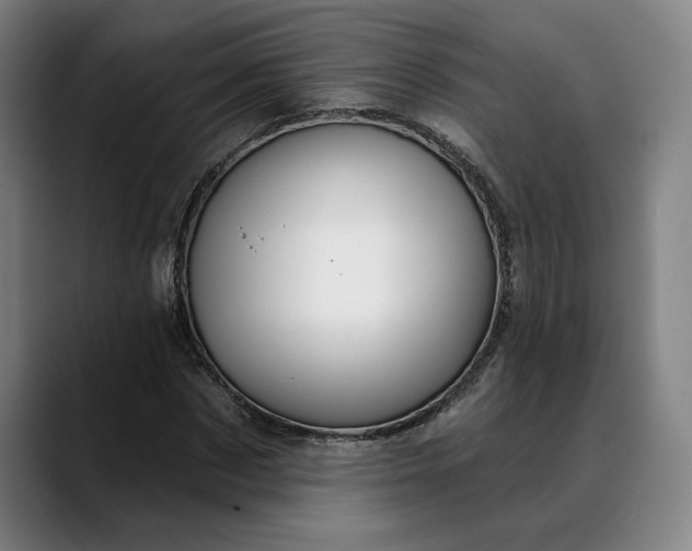 X0000088670873200706141334