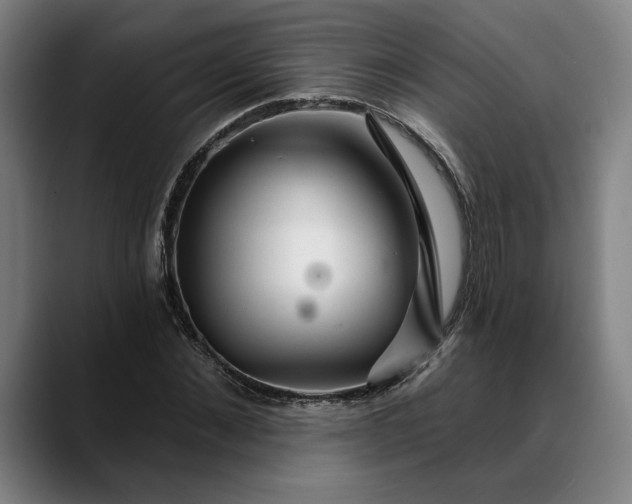 X0000088670876200706141334