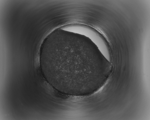 X0000088670877200706141334
