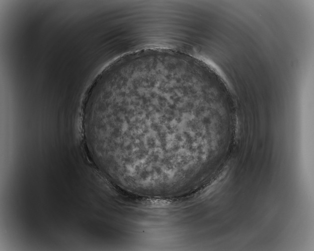 X0000088670878200706141334