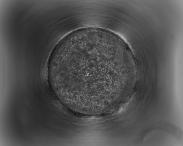 X0000088670879200706141334