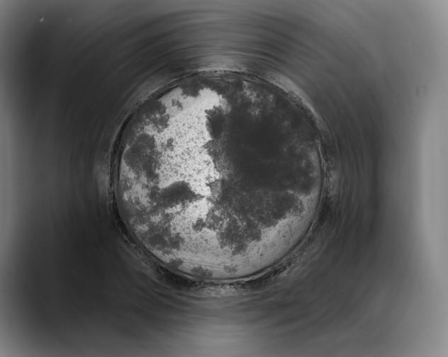 X0000088670882200706141334