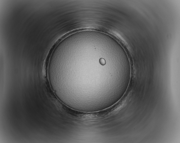 X0000088670883200706141334