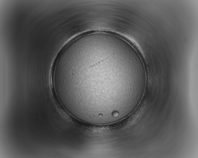 X0000088670887200706141334