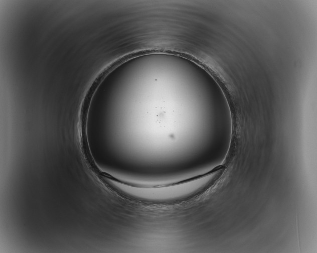 X0000088670888200706141334