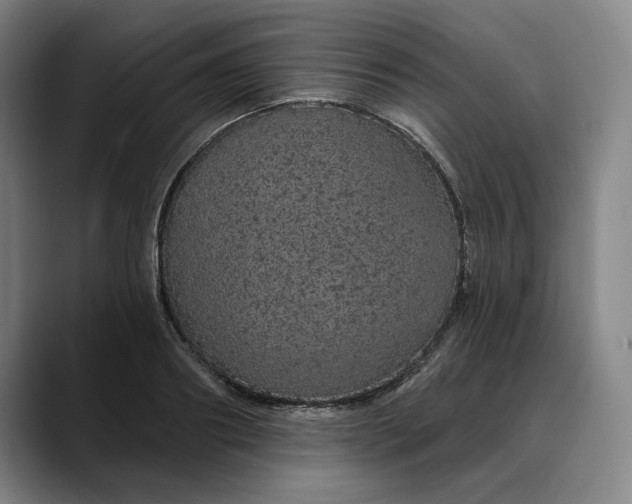 X0000088670890200706141334