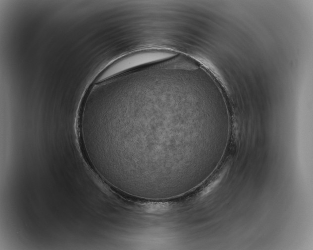 X0000088670893200706141334