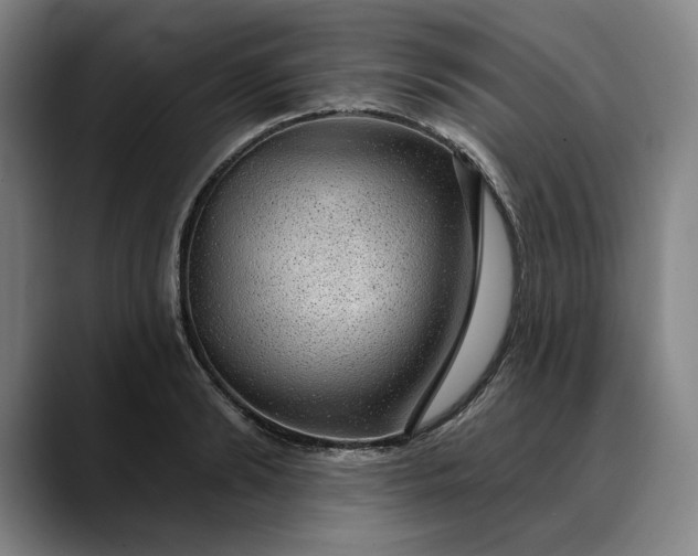 X0000088670894200706141334