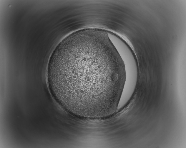 X0000088670895200706141334