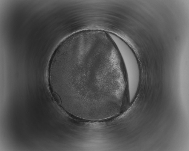 X0000088670896200706141334