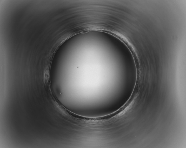 X0000088670897200706141334
