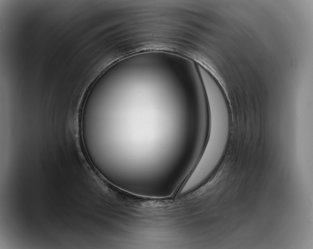 X0000088670898200706141334