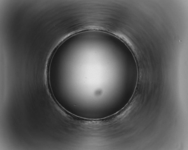 X0000088670902200706141334