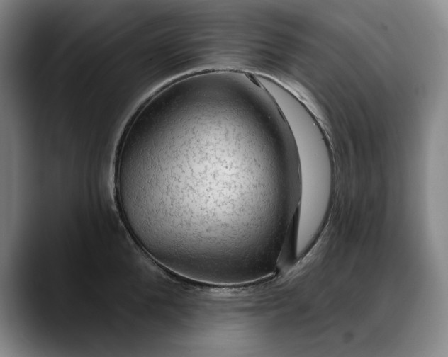 X0000088670904200706141334