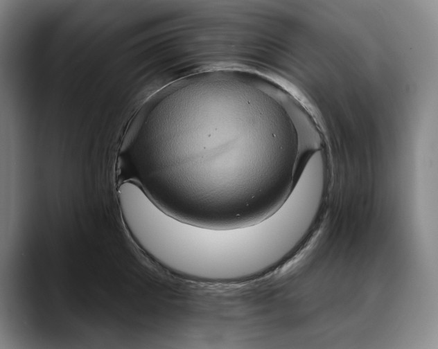X0000088670905200706141334