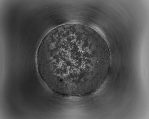X0000088670907200706141334