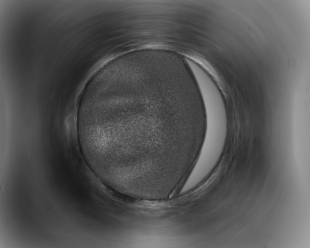 X0000088670910200706141334