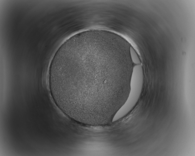 X0000088670911200706141334