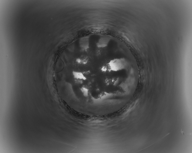 X0000088670913200706141333
