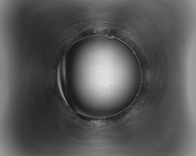 X0000088670914200706141333