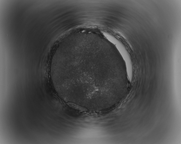 X0000088670919200706141333
