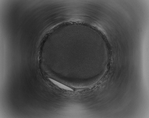 X0000088670920200706141333