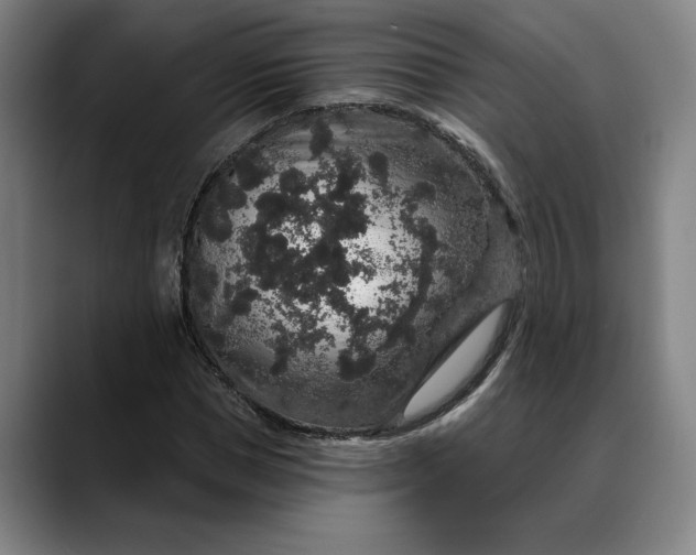 X0000088670921200706141333