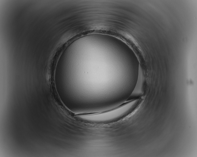 X0000088670922200706141333