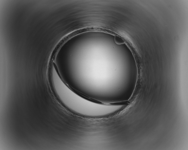 X0000088670924200706141333