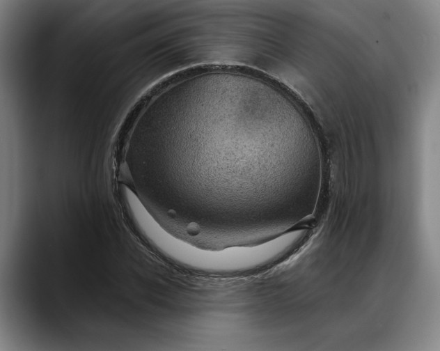 X0000088670926200706141333