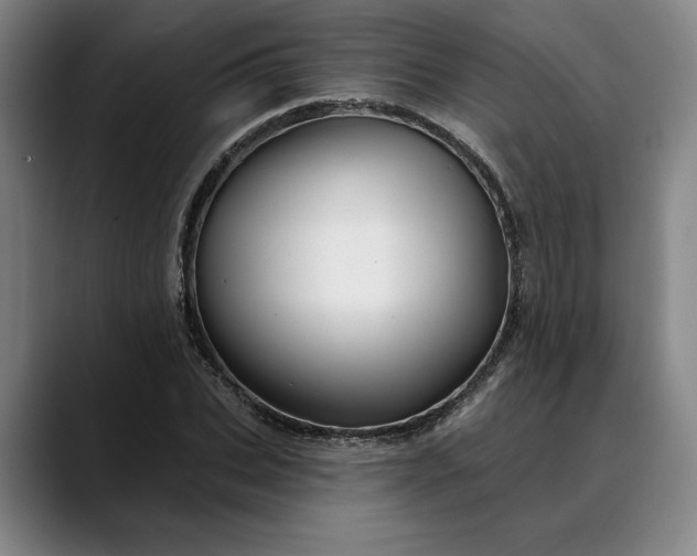X0000088670927200706141333