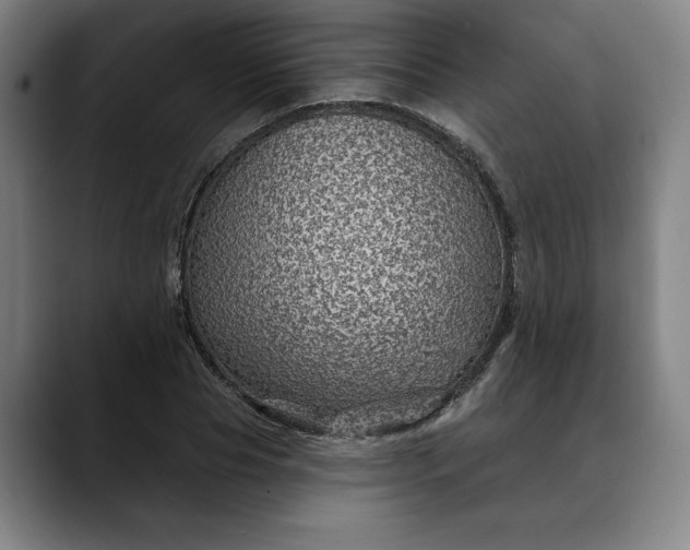 X0000088670929200706141333