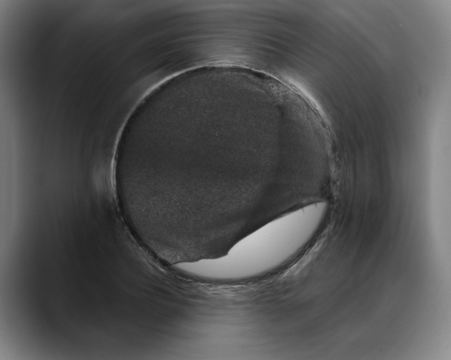 X0000088670932200706141333