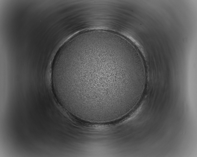 X0000088670933200706141333