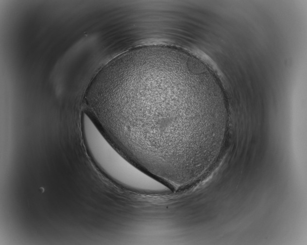 X0000088670937200706141333