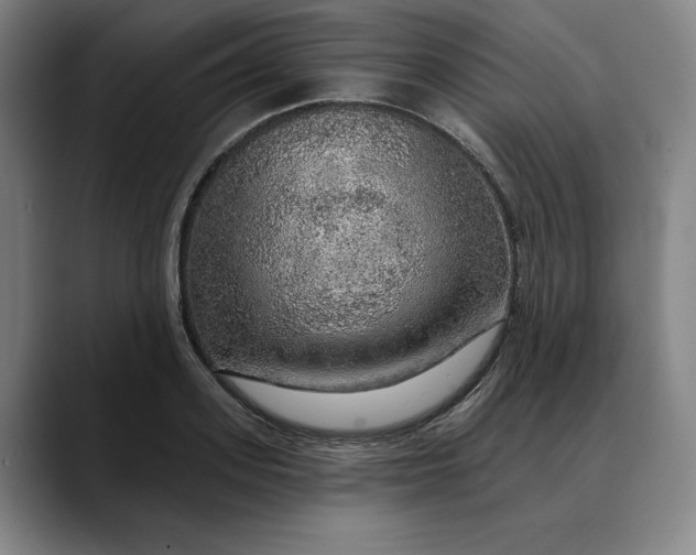X0000088670939200706141333