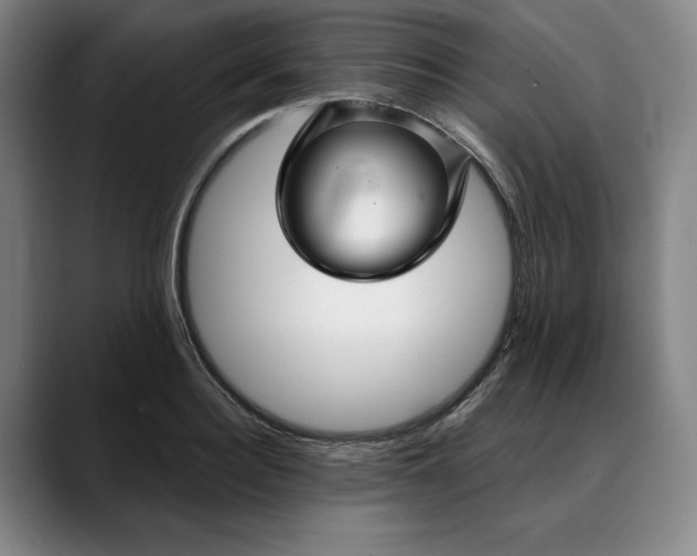X0000088670940200706141333