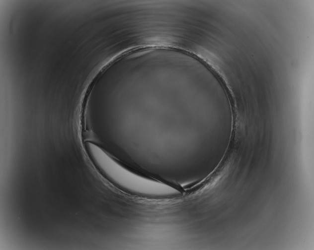 X0000088670941200706141333