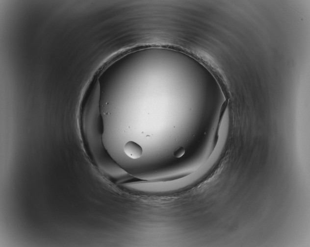 X0000088670942200706141333