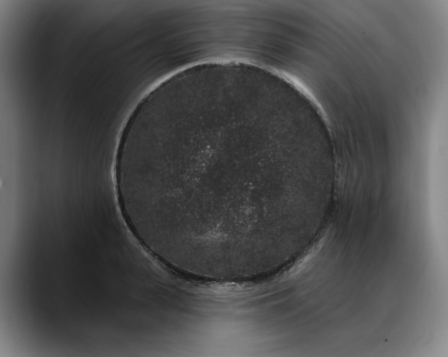 X0000088670943200706141333
