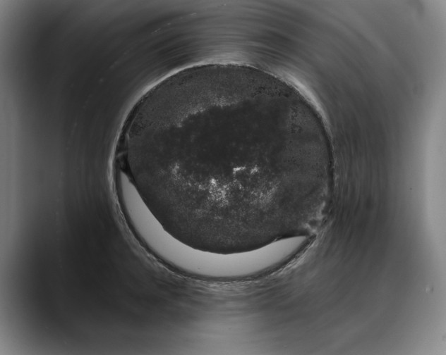 X0000088670944200706141333
