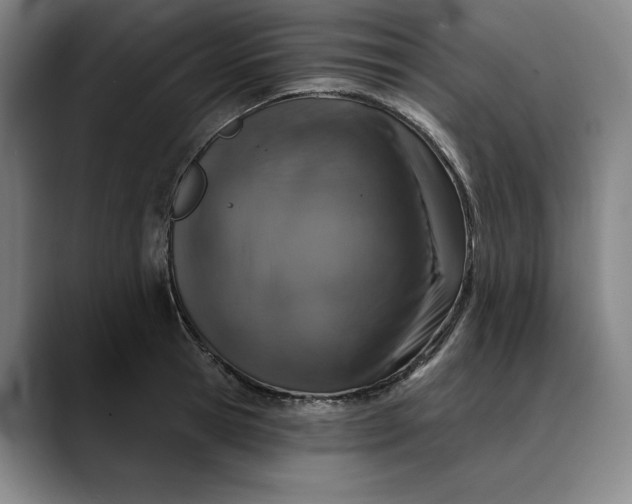 X0000088670945200706141333