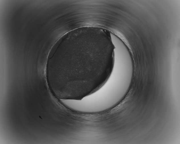 X0000088670946200706141333