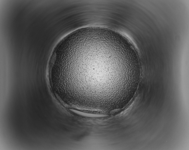 X0000088670952200706141334