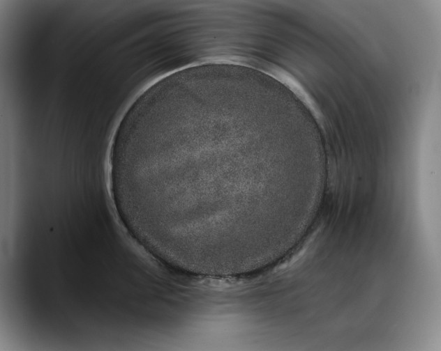 X0000088670955200706141334
