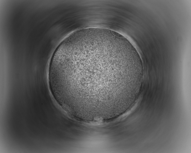 X0000088670957200706141334