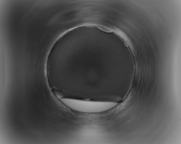 X0000088670958200706141334