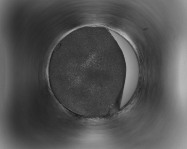 X0000088670959200706141334