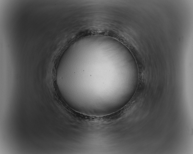 X0000088670961200706141333