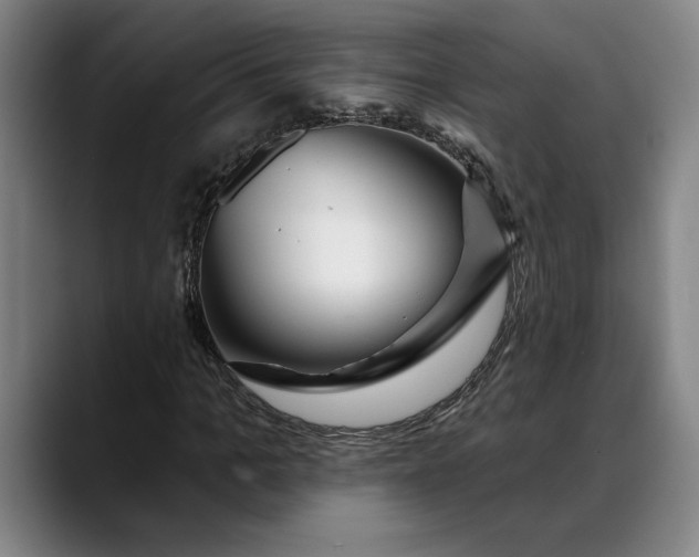 X0000088670965200706141333